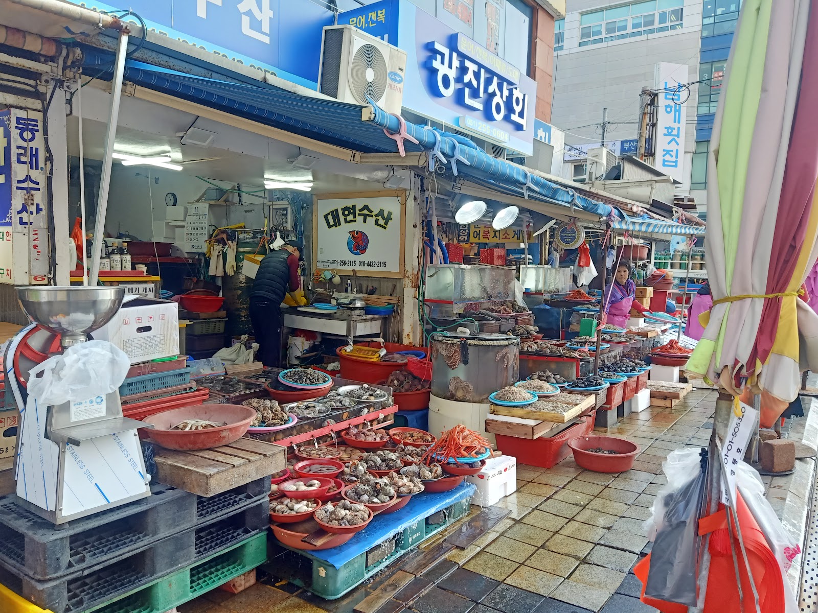 Jagalchi Market in Busan, South Korea