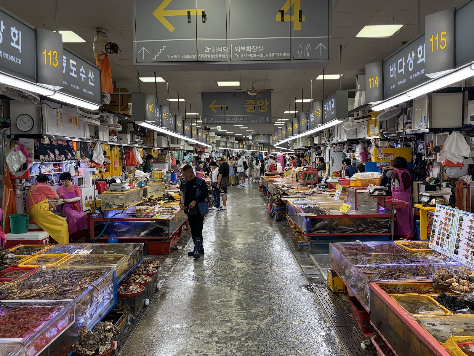 Jagalchi Market in Busan, South Korea