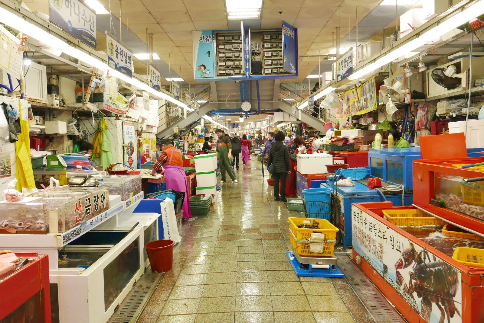 Jagalchi Market in Busan, South Korea