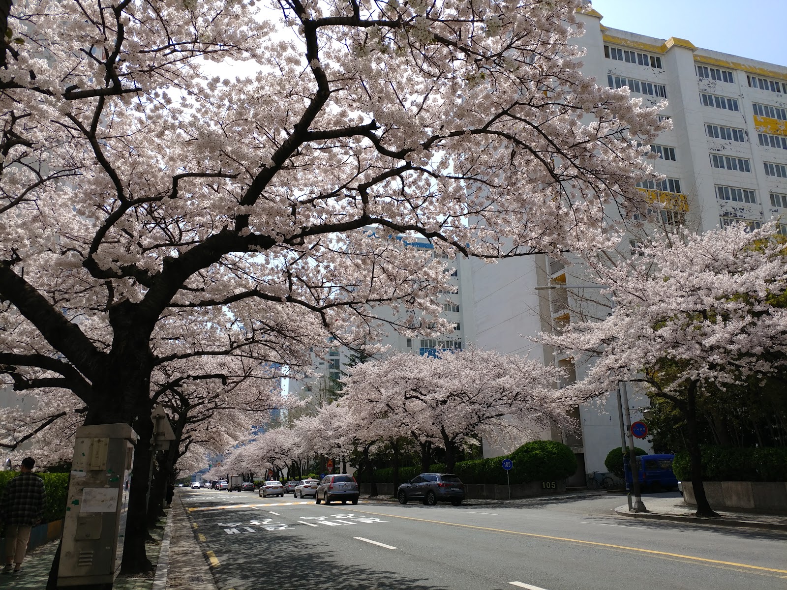 Namcheon-dong in Busan, South Korea
