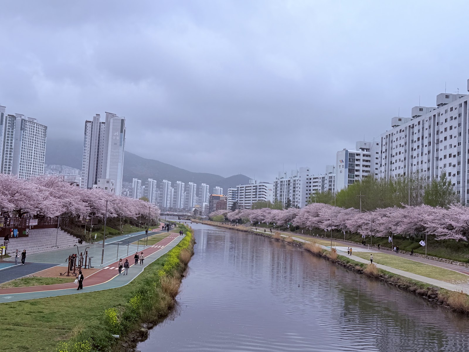Oncheon-cheon in Busan, South Korea