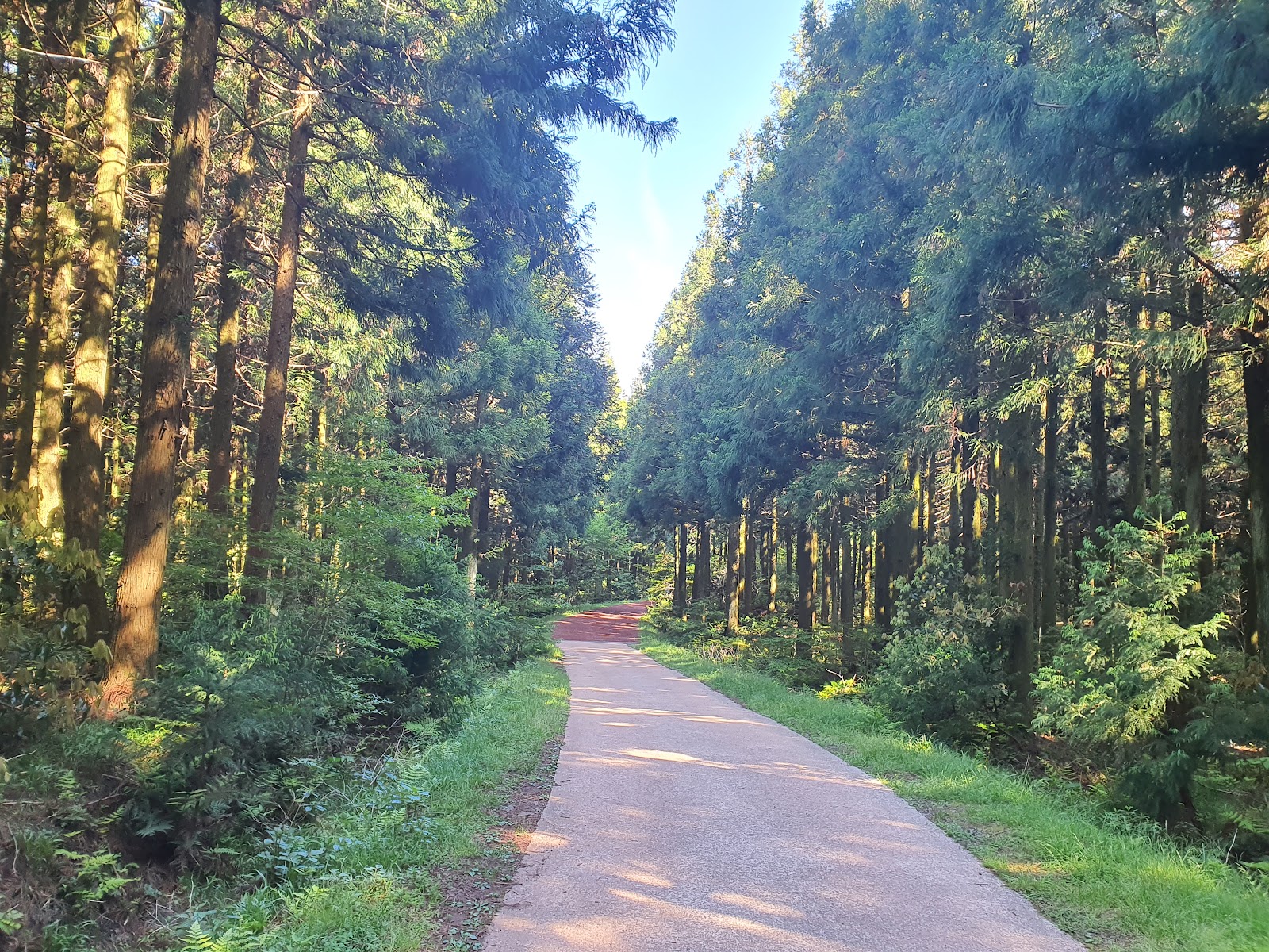 Saryeoni Forest Path Red Ascension Entrance in Busan, South Korea