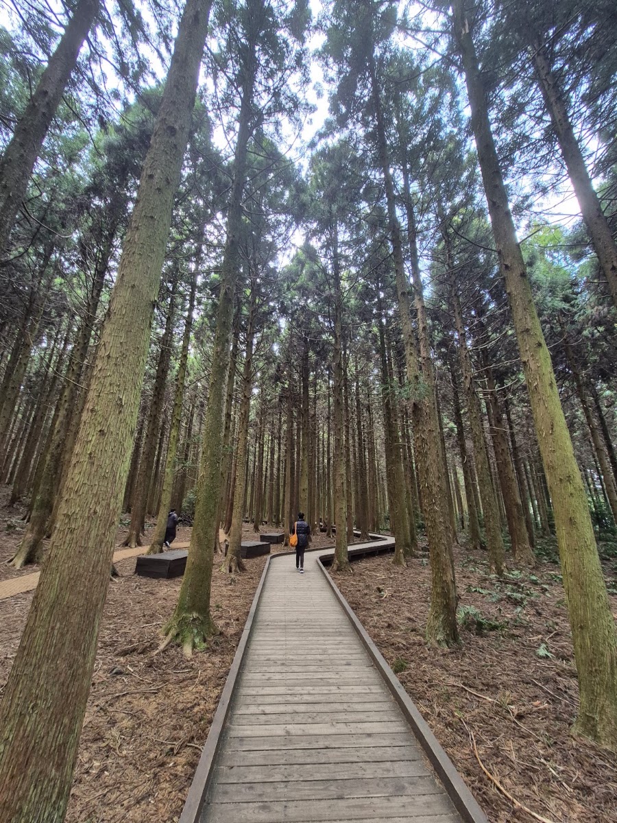Saryeoni Forest Path Red Ascension Entrance in Busan, South Korea