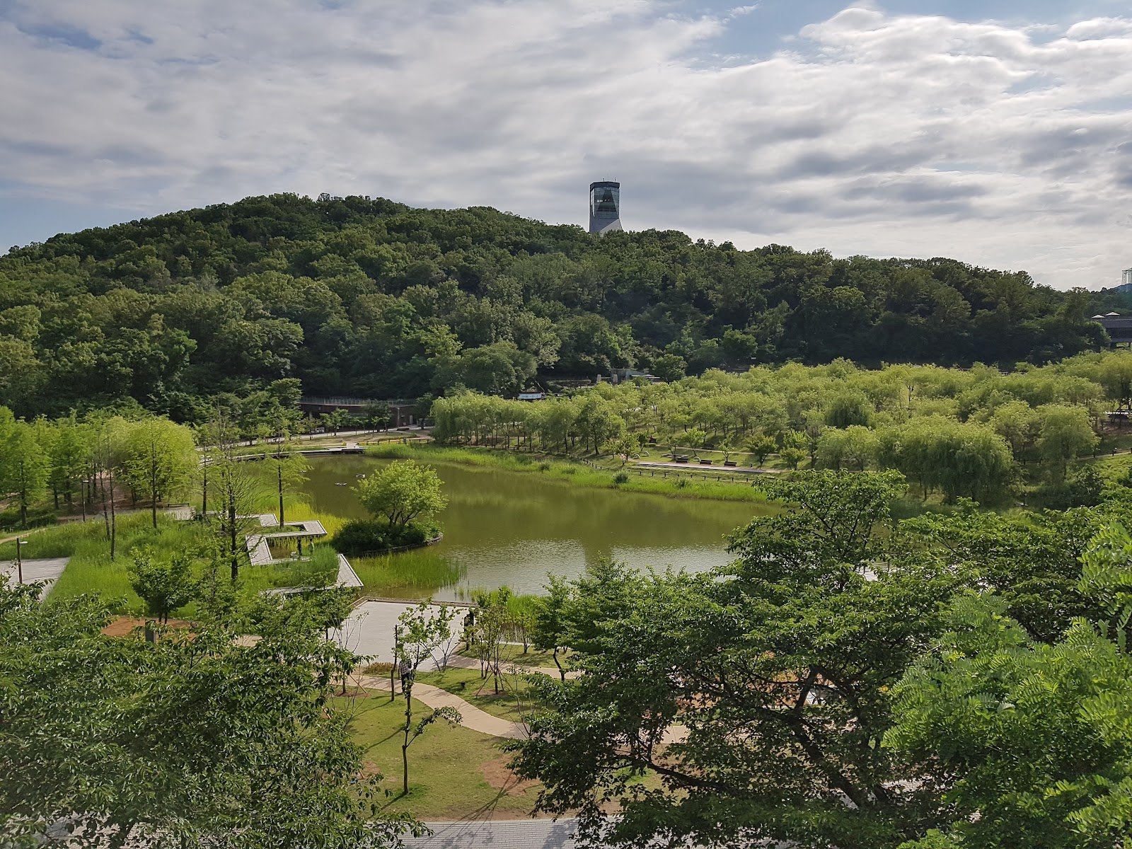 Dream Forest in Busan, South Korea