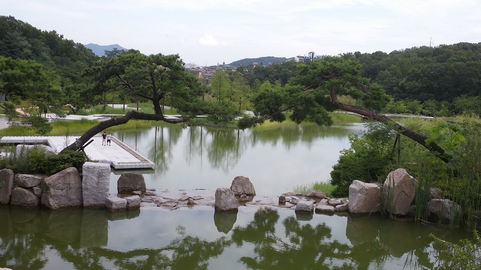 Dream Forest in Busan, South Korea