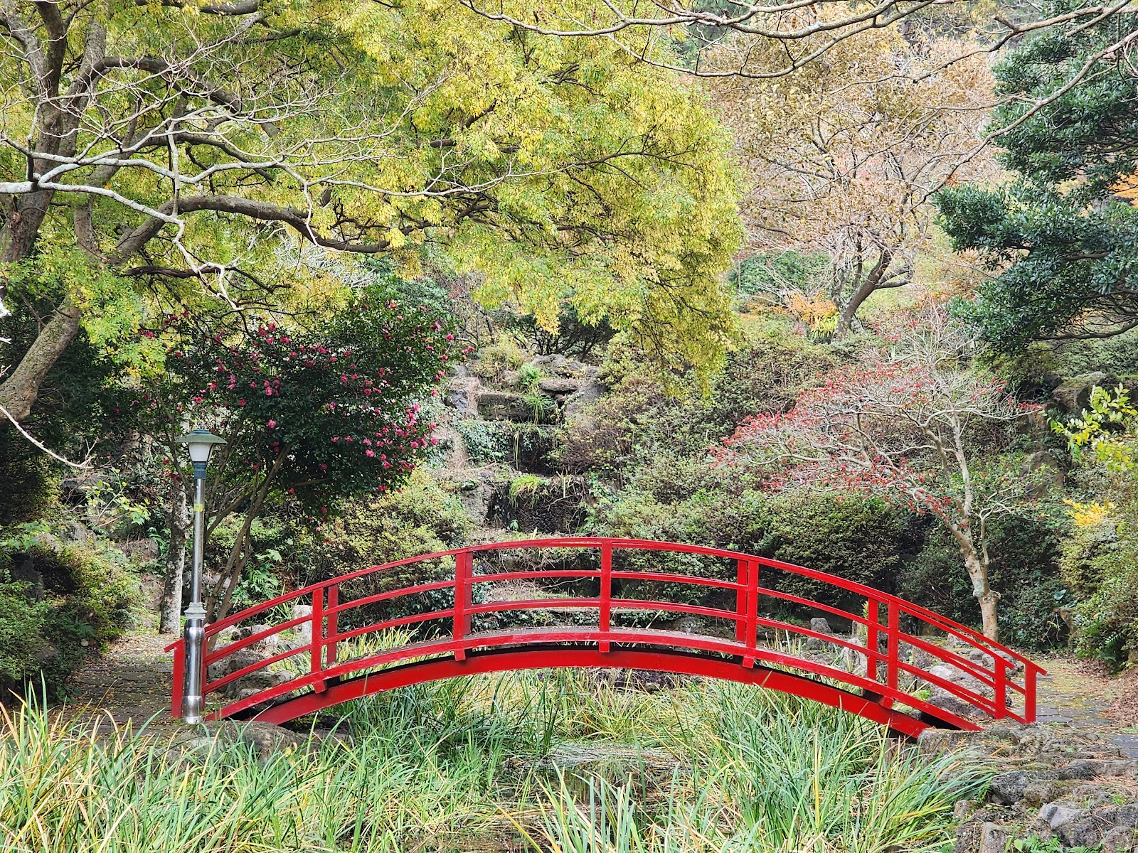 Halla Arboretum in Busan, South Korea