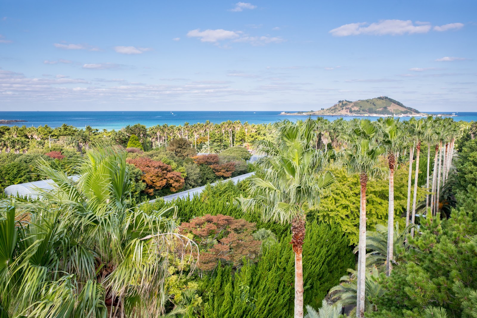 Hallim Park in Busan, South Korea