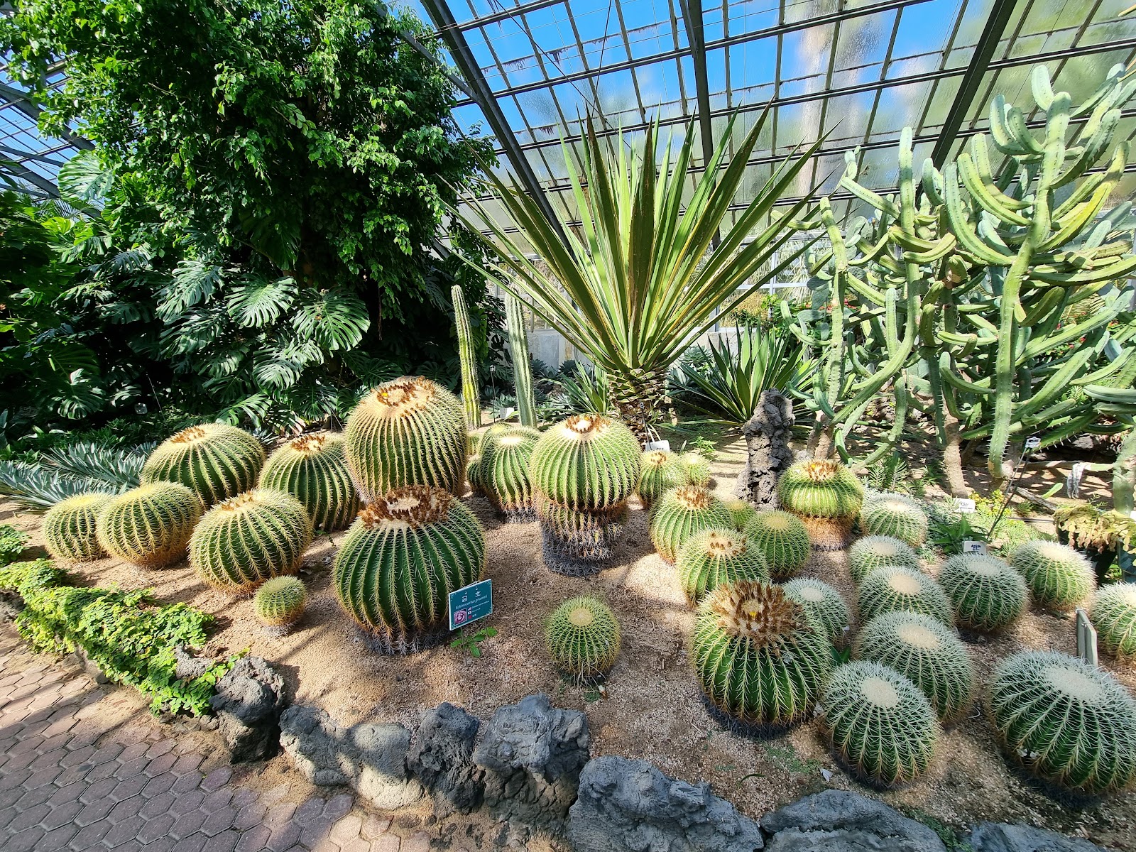 Hallim Park in Busan, South Korea