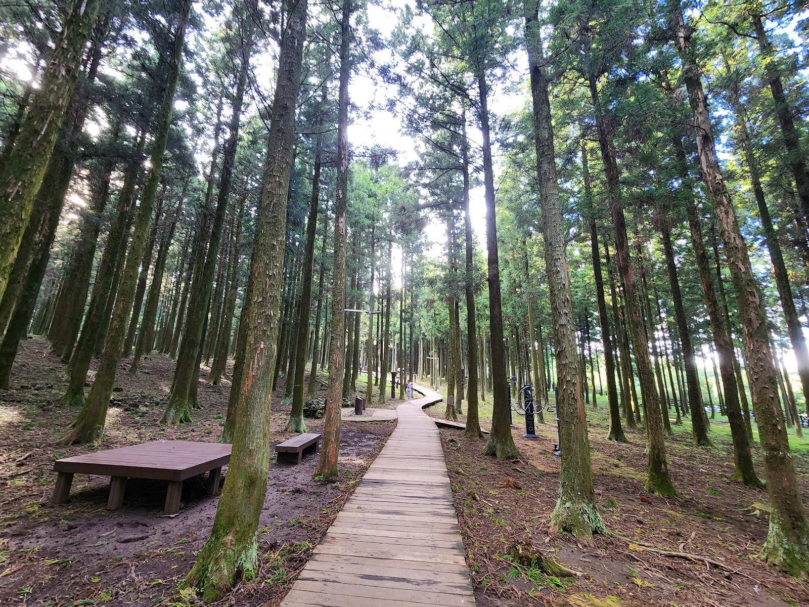Jeju Jeolmul Recreational Forest in Busan, South Korea