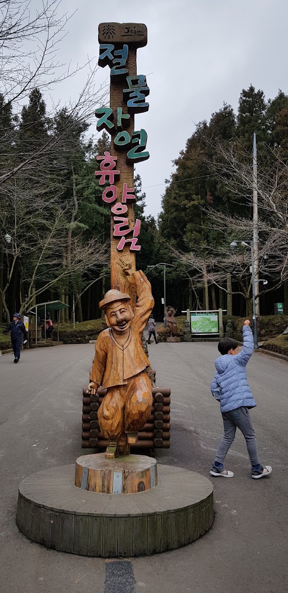 Jeju Jeolmul Recreational Forest in Busan, South Korea