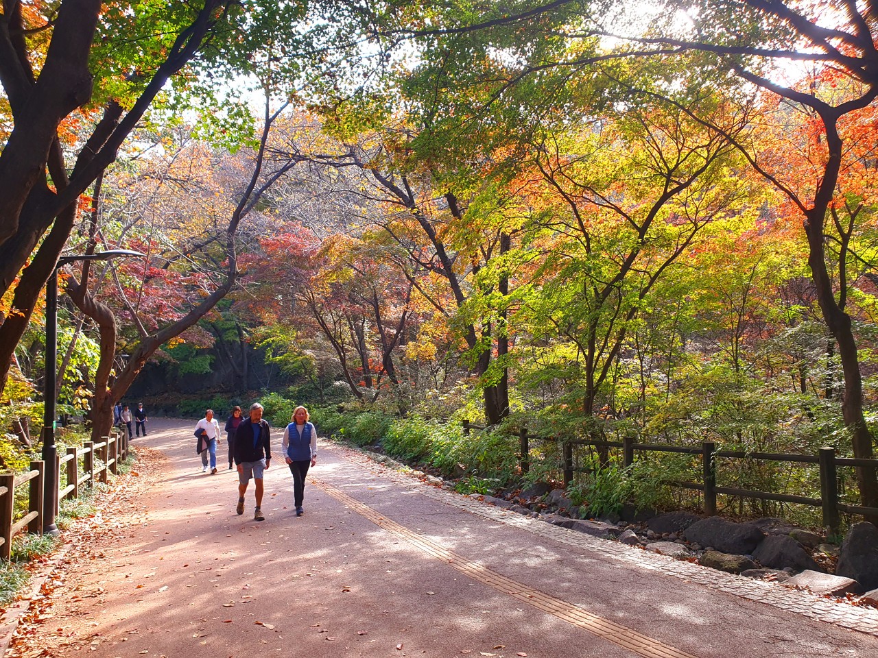 Namsan Dulle-gil Trail in Busan, South Korea